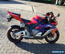 2006 HONDA CBR 1000 RR-5 FIREBLADE  for Sale