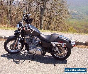 2007 Harley-Davidson Sportster