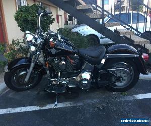 1993 Harley-Davidson Softail