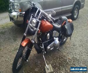 1988 Harley-Davidson Softail