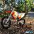 KTM 350 EXC-F 2015 for Sale