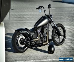 2009 Harley-Davidson Softail