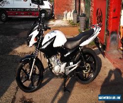 2016 YAMAHA YBR 125 WHITE for Sale