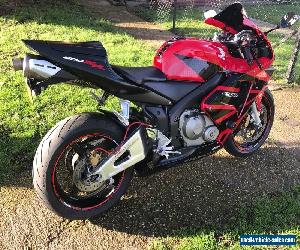 Honda CBR600RR 2004 Stunning Example