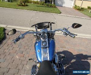 2001 Harley-Davidson Softail