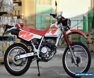 Beautiful 1991 Honda XLR250 Baja