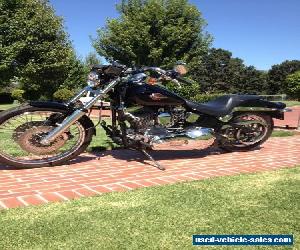 Harley Davidson Softail Custom