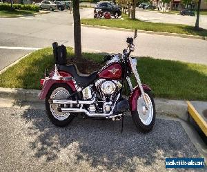 2004 Harley-Davidson Softail for Sale