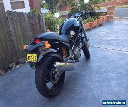 Ducati Monster for Sale