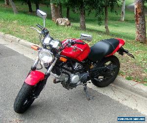 Honda VTR250 (2007) "RED" 