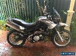 Aprilia Pegaso 650 Trail for Sale