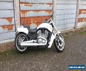 Harley-Davidson VRSCF V ROD