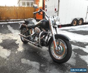 2009 Harley-Davidson Softail