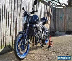 Yamaha FZ1 N 2009 for Sale