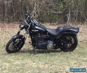 2007 Harley-Davidson Softail