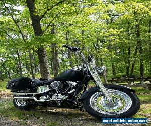 2009 Harley-Davidson Softail