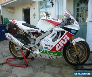 CBR 600 TRACK BIKE