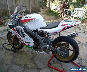 CBR 600 TRACK BIKE