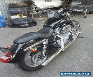 2006 Harley Davidson Sporster Custom