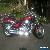 2008 Honda VTX1800C for Sale