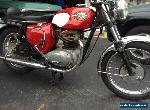 1967 BSA Royal Star for Sale