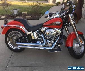 2010 Harley-Davidson Softail