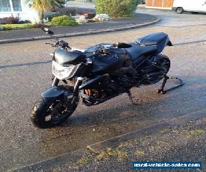 Yamaha FZ1-N 2007 Plate