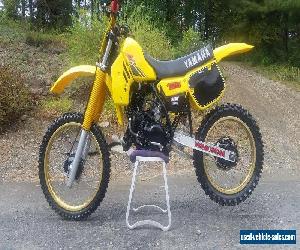 1984 Yamaha YZ