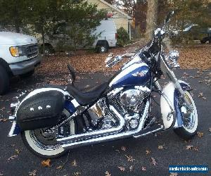 2005 Harley-Davidson Softail