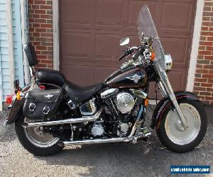 1993 Harley-Davidson Softail