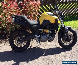 Yamaha MT03 660cc 3,166 miles 2011 yellow black monster for Sale