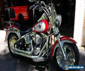 2002 Harley-Davidson Softail