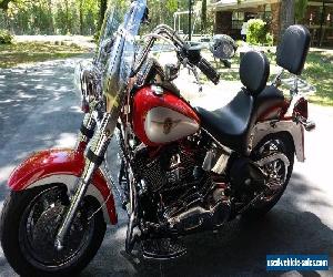 2002 Harley-Davidson Softail