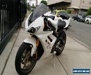 2008 Daytona Triumph 675