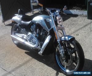 HARLEY DAVIDSON VROD MUSCLE