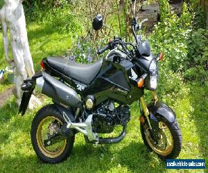 honda msx125 grom