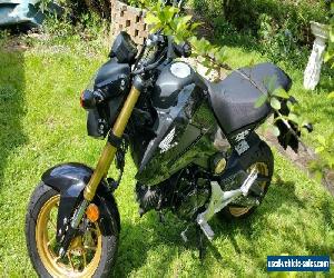 honda msx125 grom