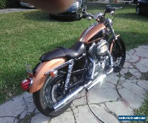 2008 Harley-Davidson Sportster