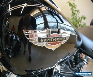 2014 Harley-Davidson Softail