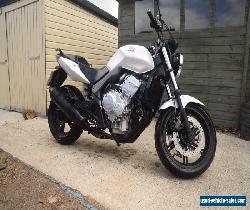 CBF 600n honda 2010 for Sale