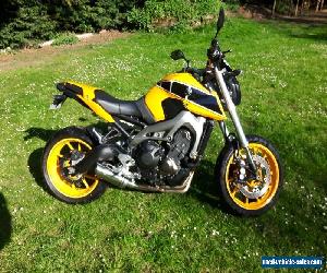 2014 yamaha MT09 ( limited edition ) 