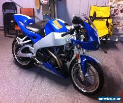 buell xb9r 2003 low kms for Sale