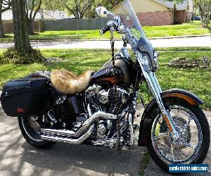 2011 Harley-Davidson Softail