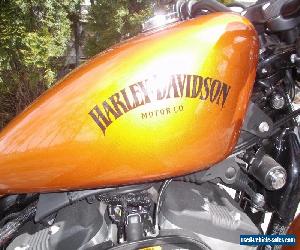 2014 Harley-Davidson Sportster