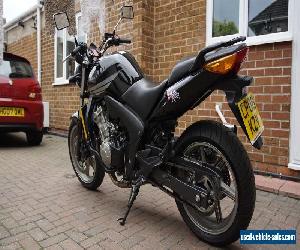 2008 HONDA CBF600 N-8 4800 Miles Only