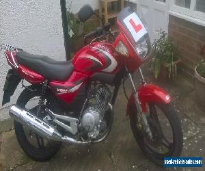 YAMAHA YBR 125