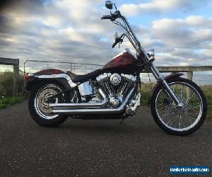 2006 HARLEY DAVIDSON SOFTAIL CUSTOM,CANDY PAINT,SHOW,HARLEY 