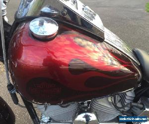 2006 HARLEY DAVIDSON SOFTAIL CUSTOM,CANDY PAINT,SHOW,HARLEY 