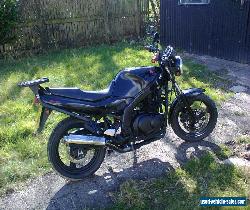 suzuki gs500e for Sale