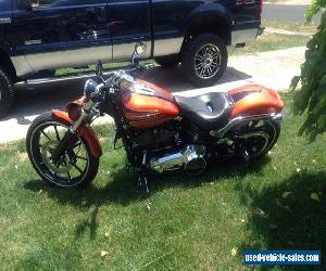 2013 Harley-Davidson Softail